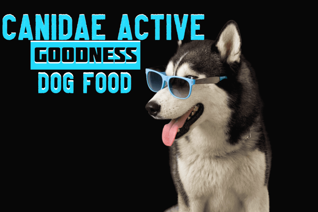 Canidae active Goodness Dog Food